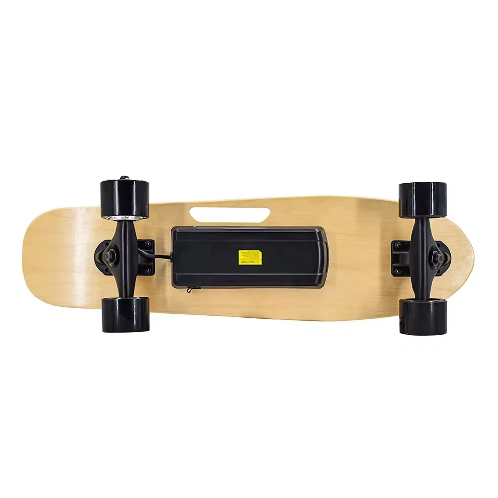 professional portable long board skateboard four wheel electric skateboard cheap price