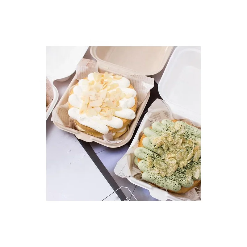 Disposable Breakfast Boxes Food & Beverage Packaging Hamburger 21±0.5g/piece Bagasse Congrun Accept CHB001 CN;SHN Square 1 Box