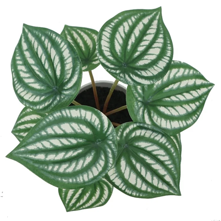 Home Decoration Potted Green Plant  20cm Real Touch Watermelon Leaves artificial bonsai plant With Melamine Pot