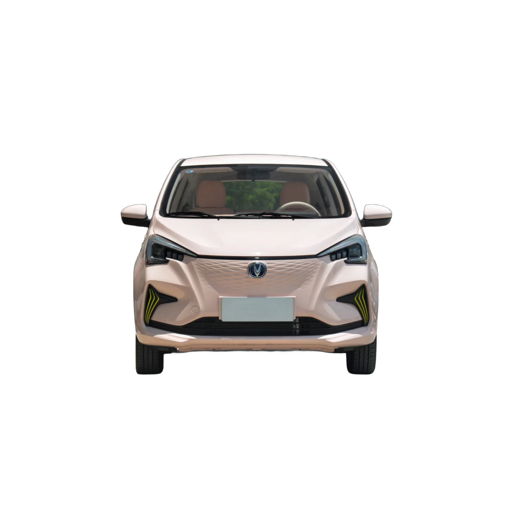 New Trend Changan E Star Parts Benben Estar for Sale