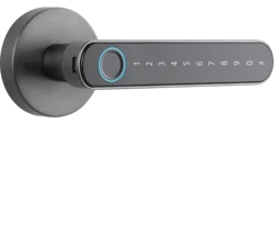 Tuya APP Keys Security Electric Digital Smart Locks New Phone Body Fingerprint Steel locker lock fingerprint door lock