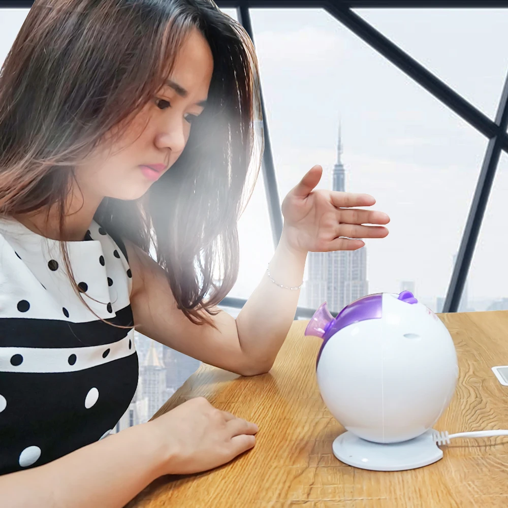 Beauty Personal care Face Steamer Sprayer Face Humidifier Electric Facial Steamer