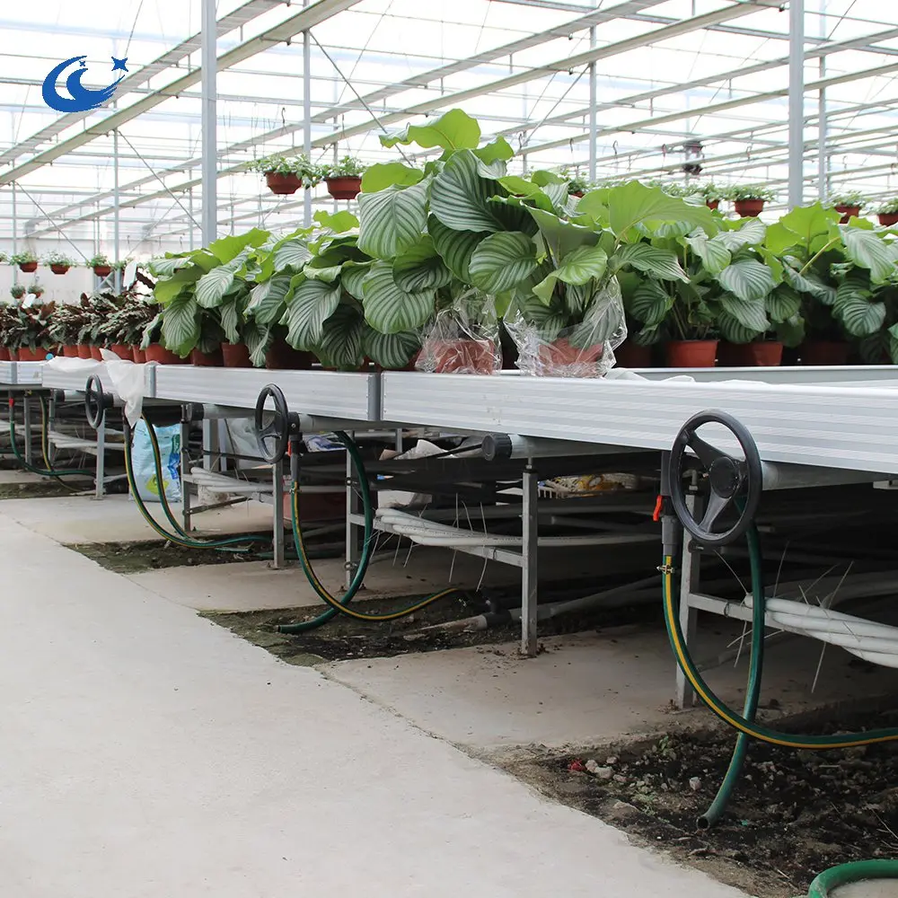 Тепличный стол ebb и поднос для гидропонных систем