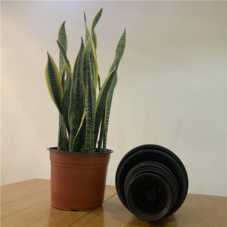 Wholesale Multiple Sizes Durable Nursery Plants  Pot Transplant Plastic Flower Pots