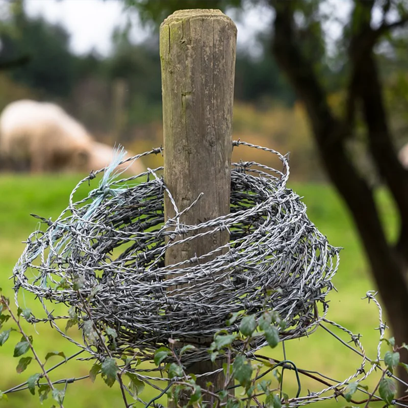 Factory Hot Dipped Galvanized 12.5 Gauge 18 Gauge PVC Coated Barbed Wire Mesh For Security Fencing Anti Climbing