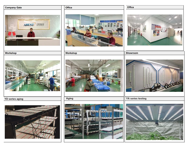 BBG grow light company