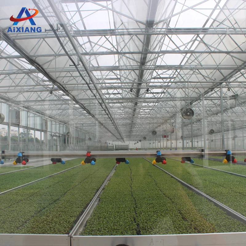 
Hot sale commercial glass greenhouse shade green house for plants/vegetable/flowers 