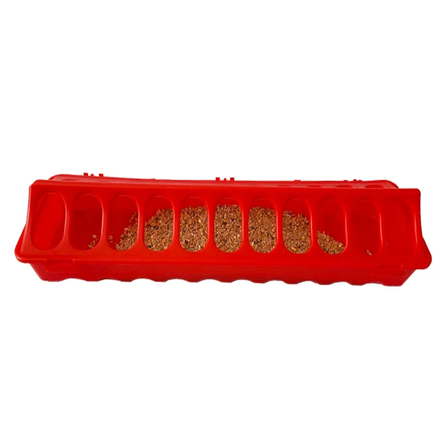 High quality birds feeder 20cm 30cm 40cm 50cm plastic long feeder for chicken pigeon food feeder
