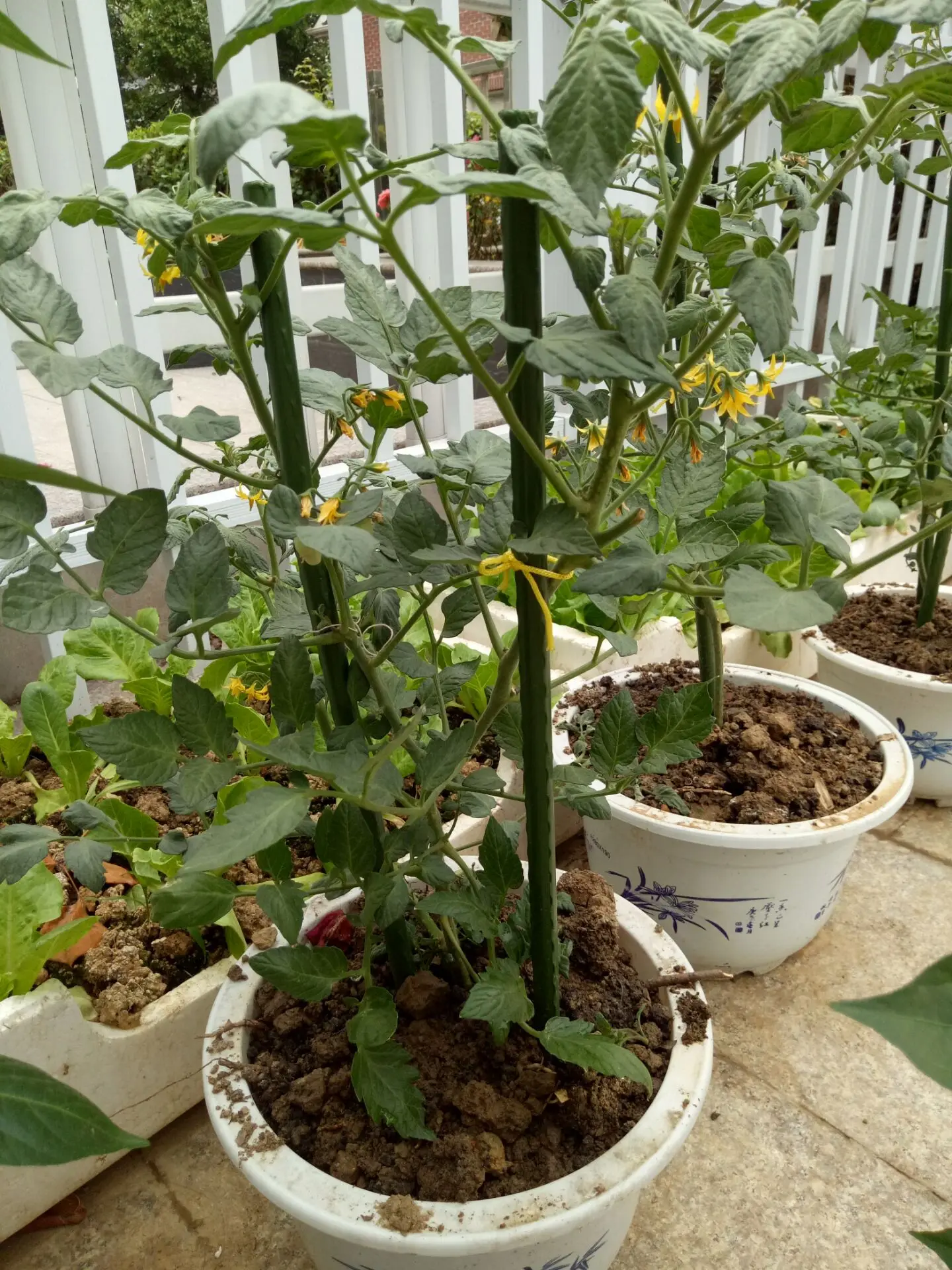 Ornaments Yard Lawn Custom Decorative Garden Markers Label Plant Stainless Steel Hanging Stake support poles Drip Irrigation