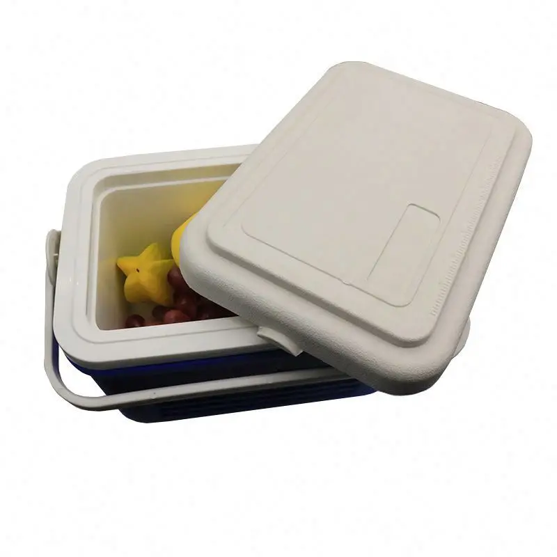 Manufacturer Hot Sell New Products Plastic Black Vaccine Ice Cooler Box