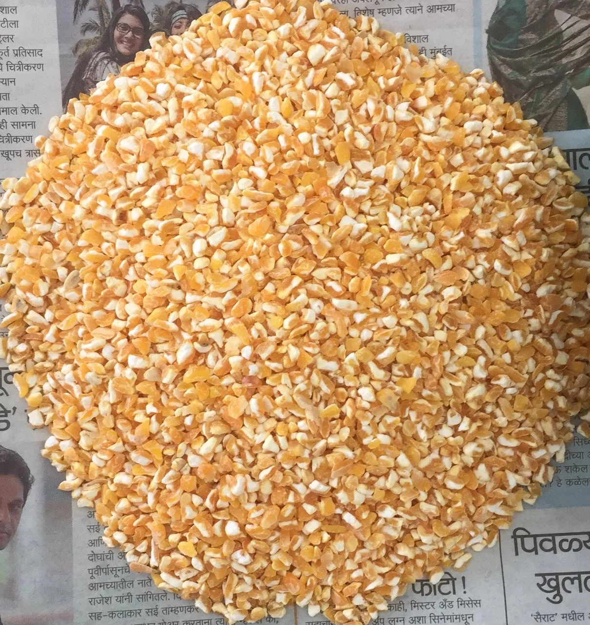 
best quality yellow corn broken for wholesale 