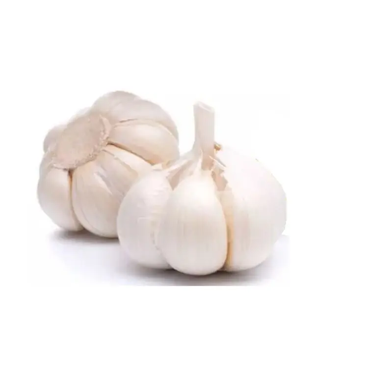 Hot Sale Shandong Superior White Garlic New Crop Fresh Pure White Garlic