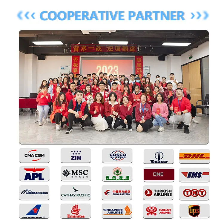 Cheapest DDP Express Shipping Cargo Professional Service DHL TNT UPS Fedex EMS Aramex From China To India