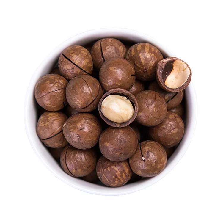 Wholesale price top grade OEM macadamia in shell with customize flavor/ package coffe/ milk flavor