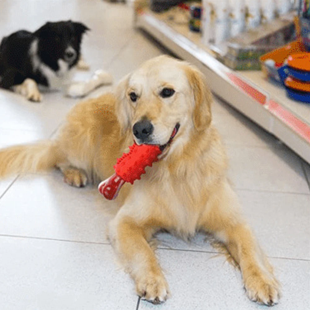 Pet chewing toy  cleaning teeth pet dog bones bite resistant rubber nylon bones pet toys