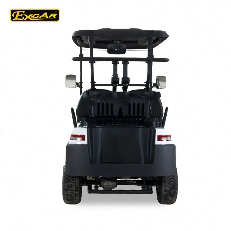 Company 2 seats electric golf shuttle buggy