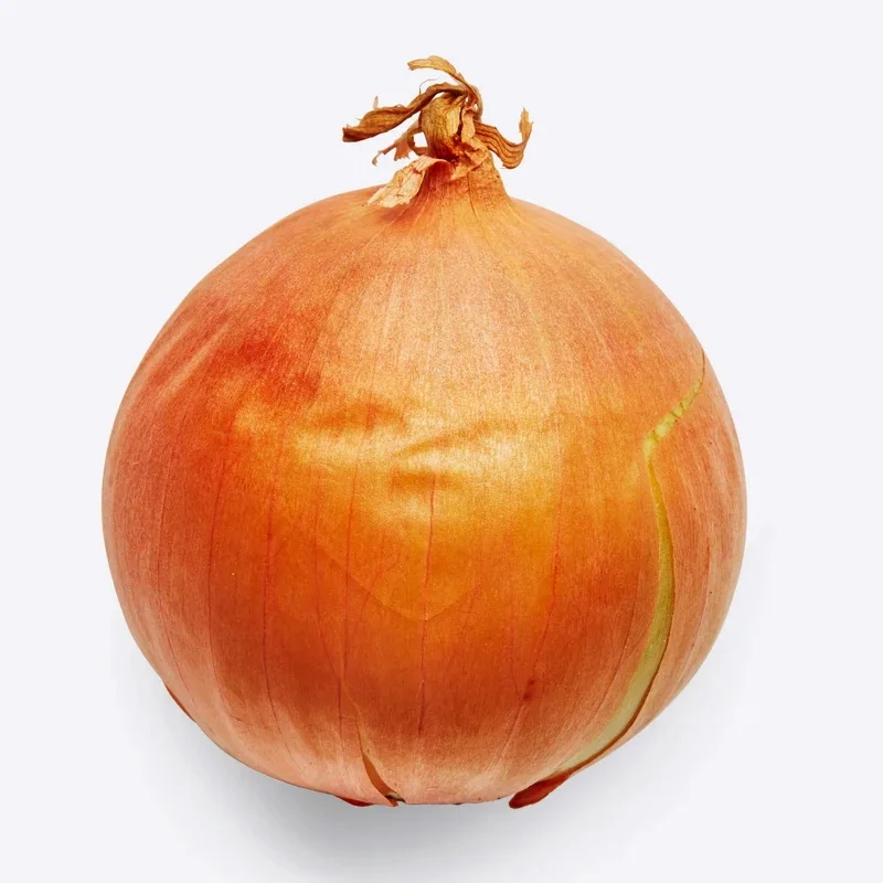 Chinese fresh onion with Long-shelf life