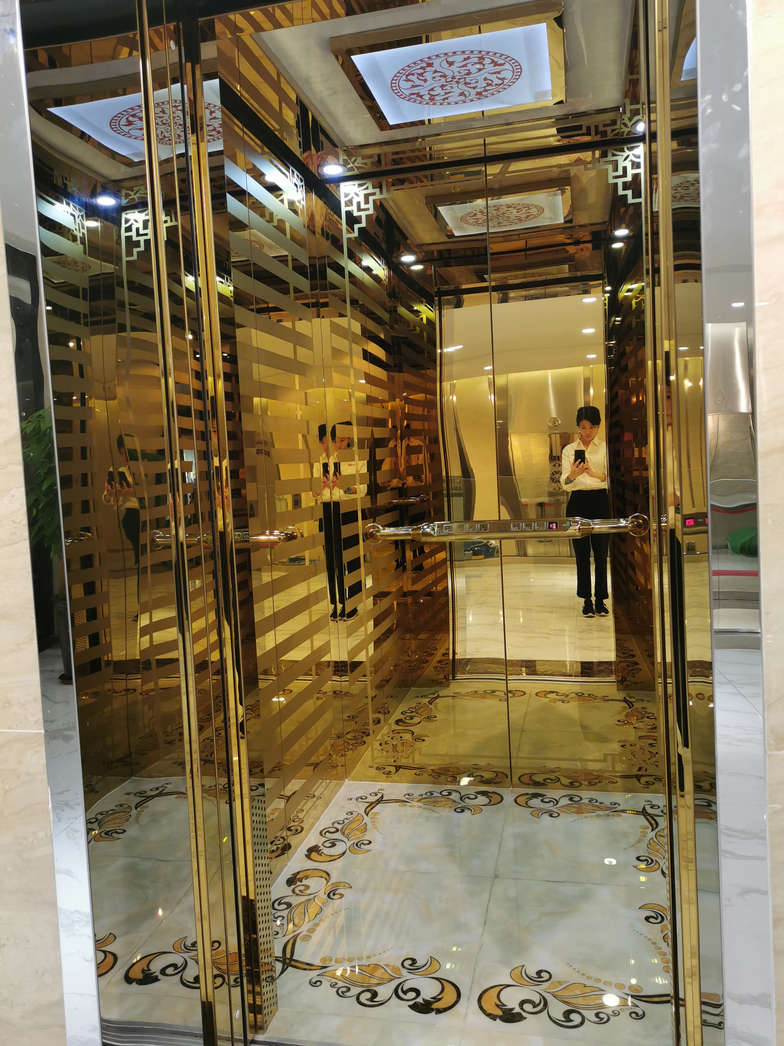 Suzuki 6 Floor Elevator building lift 630 kg 8 people small elevator Residential Modern Luxury Home Elevator Price