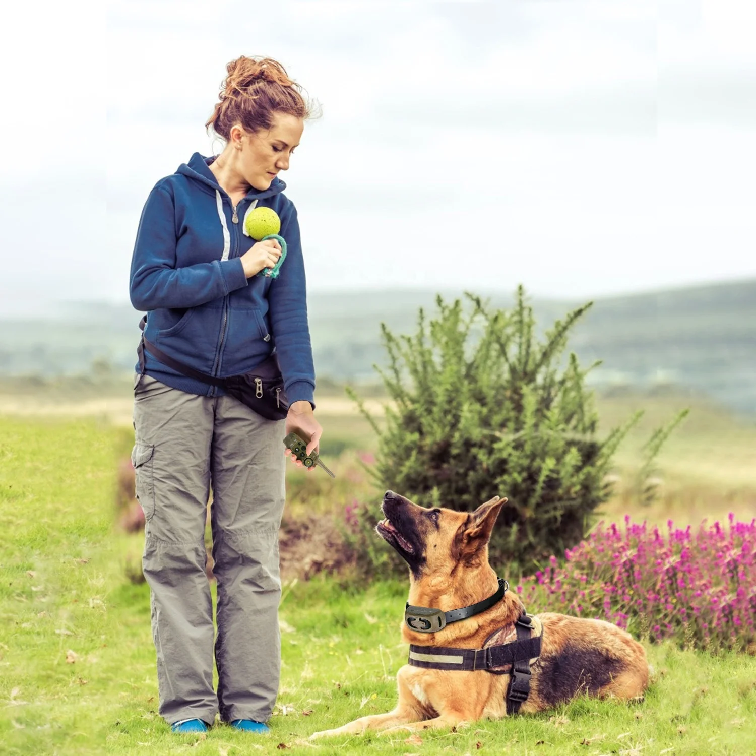 Ly Dog Beeper Collar Accessories Pet Collars & Leashes Dog Collar Metal Buckle Gold Dog  Pet Training Products