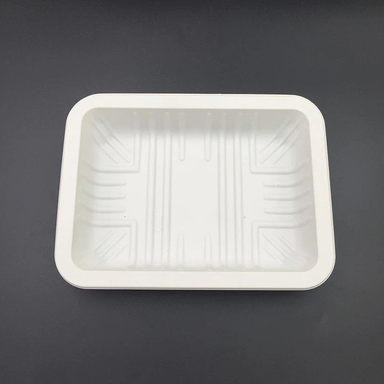 Rectangular disposable biodegradable corn starch food tray fruit plate food packaging container