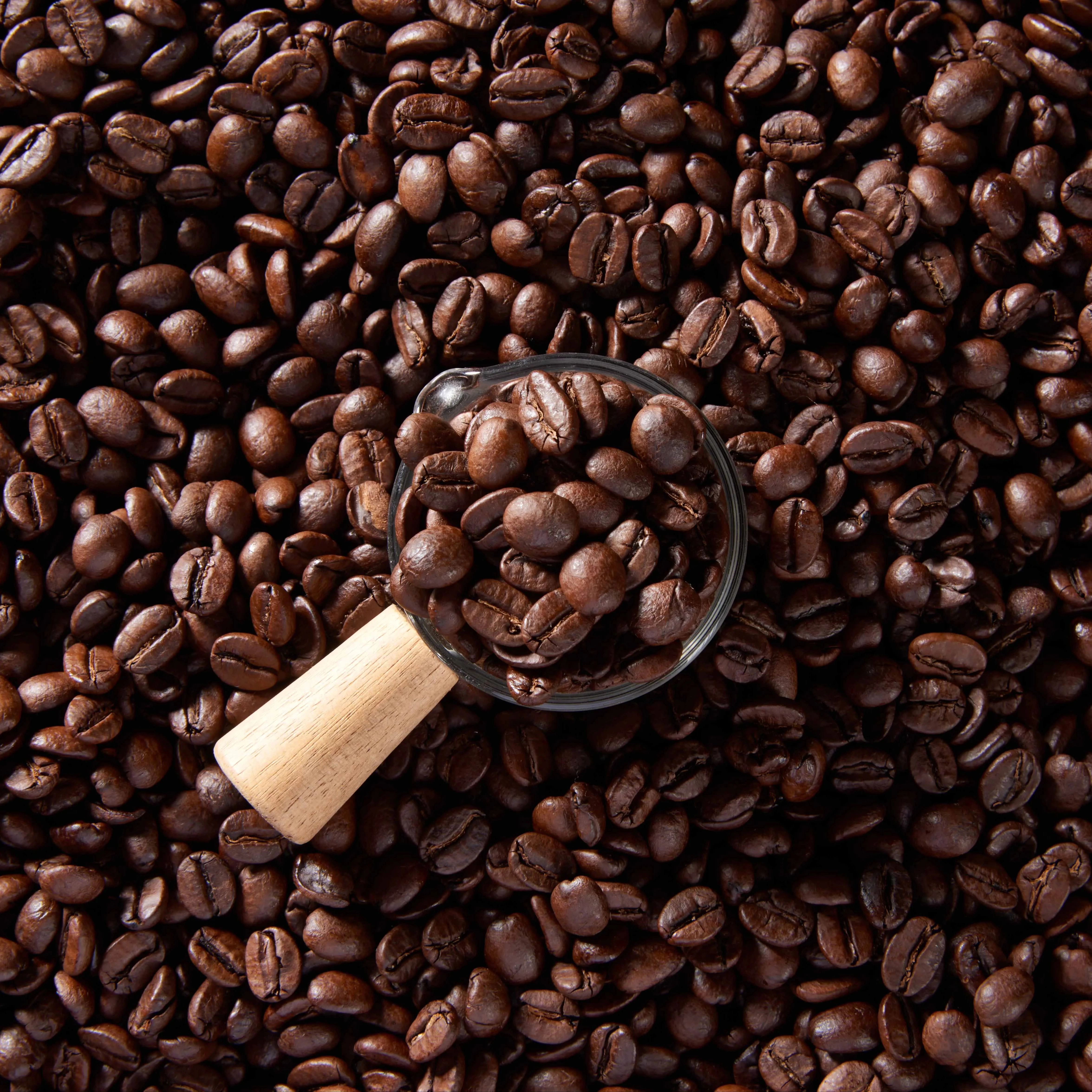 Private Label Whole Bean Coffee 100% Arabica Roasted Coffee Beans Specialty Italian Coffee Beans