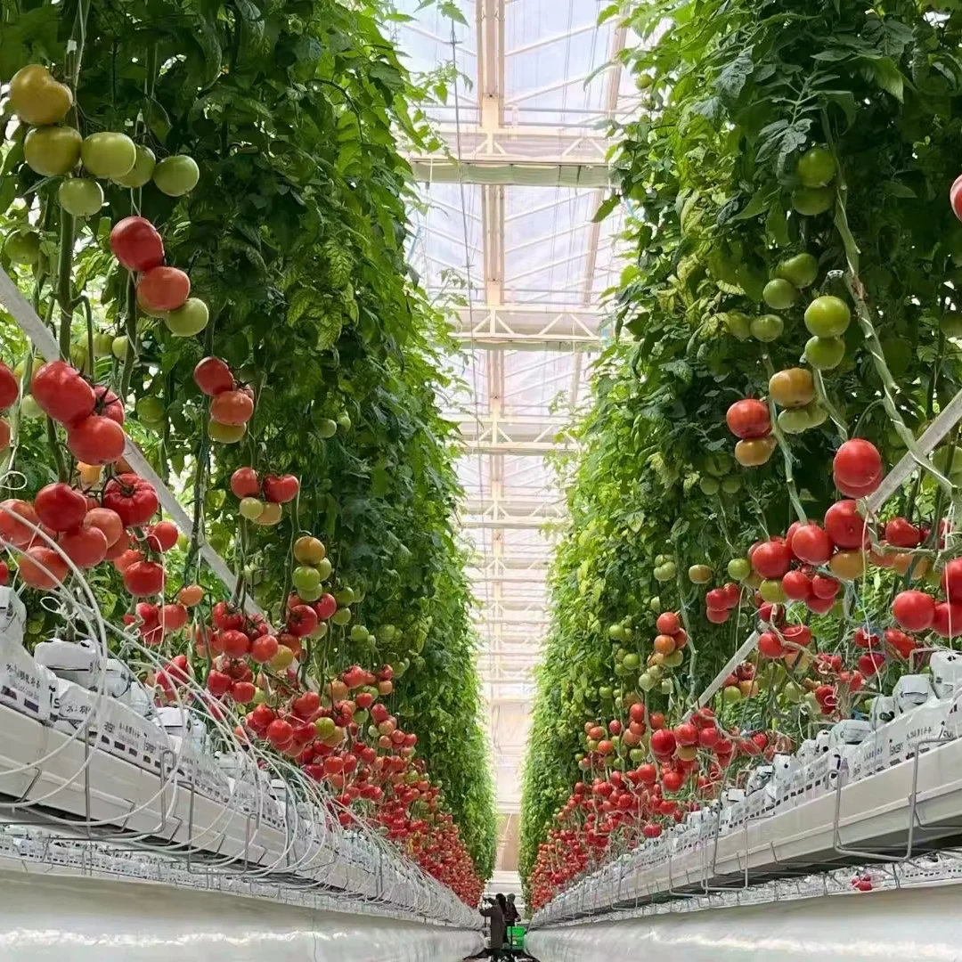 Custom Multi Tier Indoor Cultivation Plant Led Grow System Movable Rolling Vertical Farming Mobile Grow Rack System
