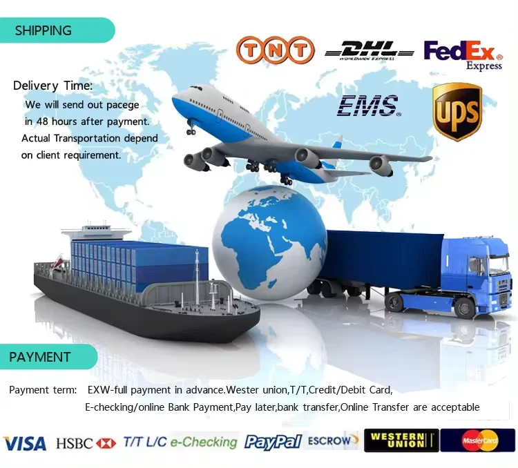 153Wireless Earphone with LED Battery Indicator Type-C Connectors 5G Function for Gaming Mobile Phone Use Waterproof Sound Featu