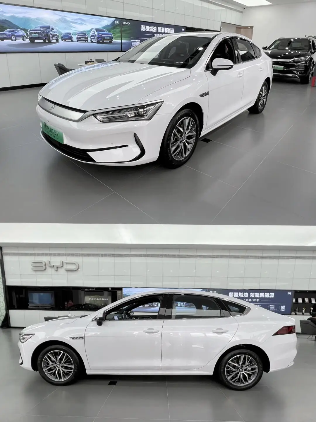 2024 BYD Qin Plus EV Honor Edition DMI PHEV седан 5-местный 420 км дальность действия 510 автомобиль с быстрой зарядкой