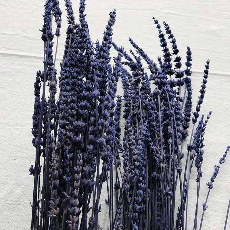 Yunnan Wholesale Dried Lavender Preserved Lavender Flowers for Home and Wedding Flower Decoration