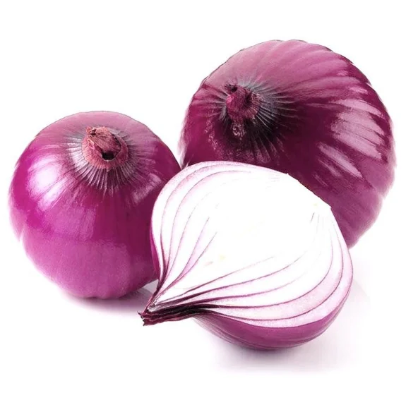 
Free sample onion wholesalers other fresh vegetables For supermarket 