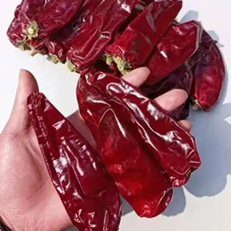 Wholesale Supply Single Spices Dry Sweet Red Pepper Whole Sweet Paprika Pods Dried Red Chili