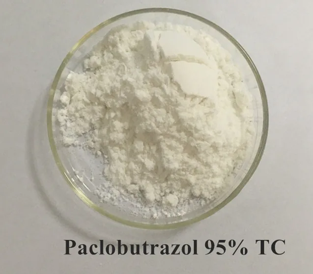Manufacturer Supply Paclobutrazol 95% 76738-62-0