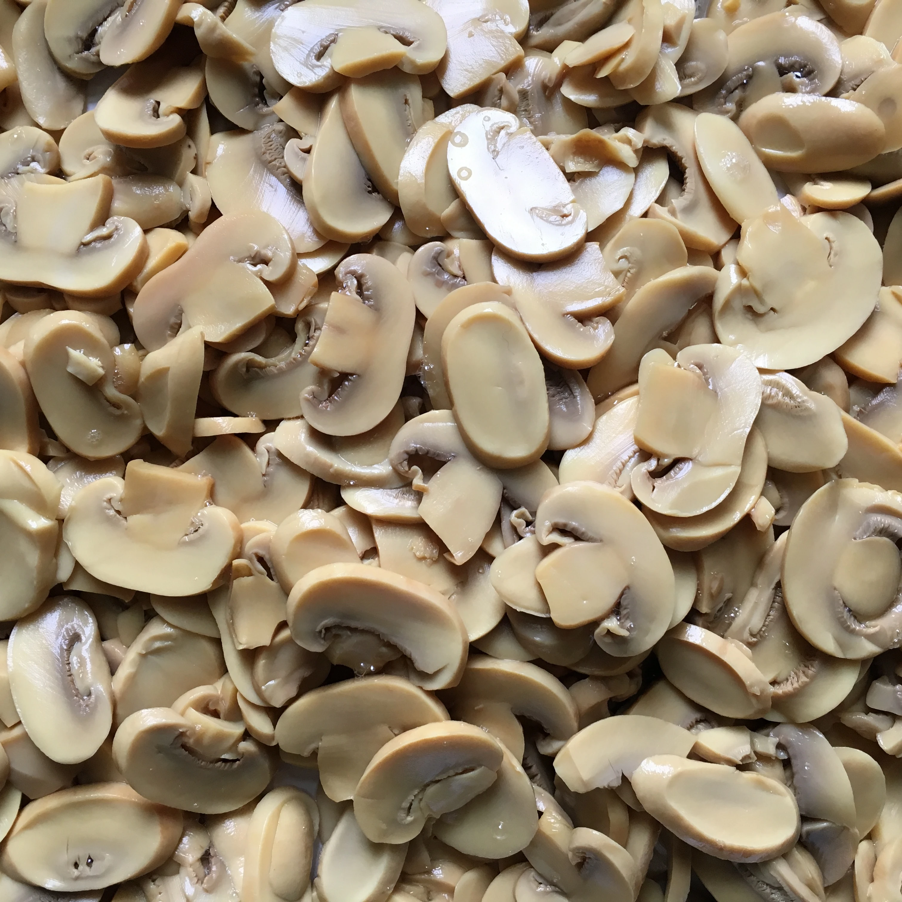 Консервированные кусочки грибов, изготовленные на китайской фабрике