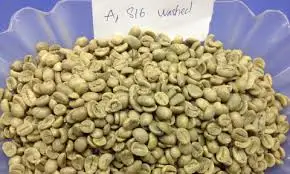 Organic 100% natural Washed Arabica S16 premium quality Vietnamese coffee beans competitive price