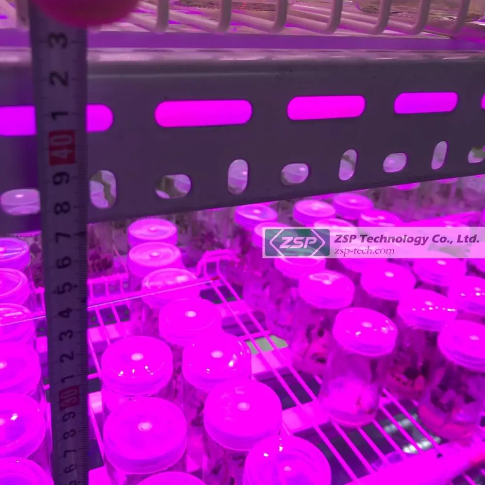 Factory sale plant strip bar for orchids tissue culture seedlings