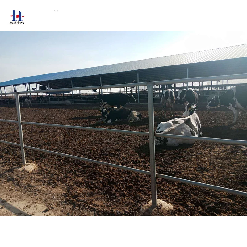 
Professional factory supply Prefabricated steel structure sheep farm shed with CAD design 