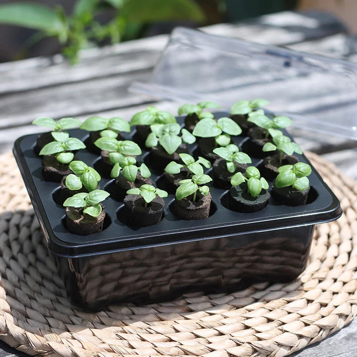 Indoor Plant Pods Soilless Hydroponics Smart Soil Grow Sponges Plugs Coco Peats Block For Planting Seedling Basket