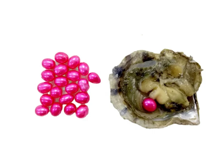 One Pearl In One Oyster/Wish Pearl Party Gift Vacuum-packed 6-8mm Loose Pearl