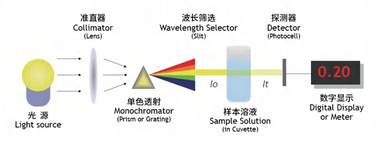 Medical lamp 12V 20W blood analyzer halogen lamp