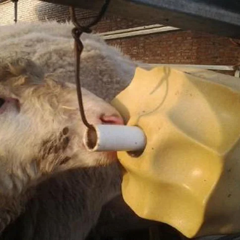 
vitamin mineral salt licking block for cow cattle sheep 