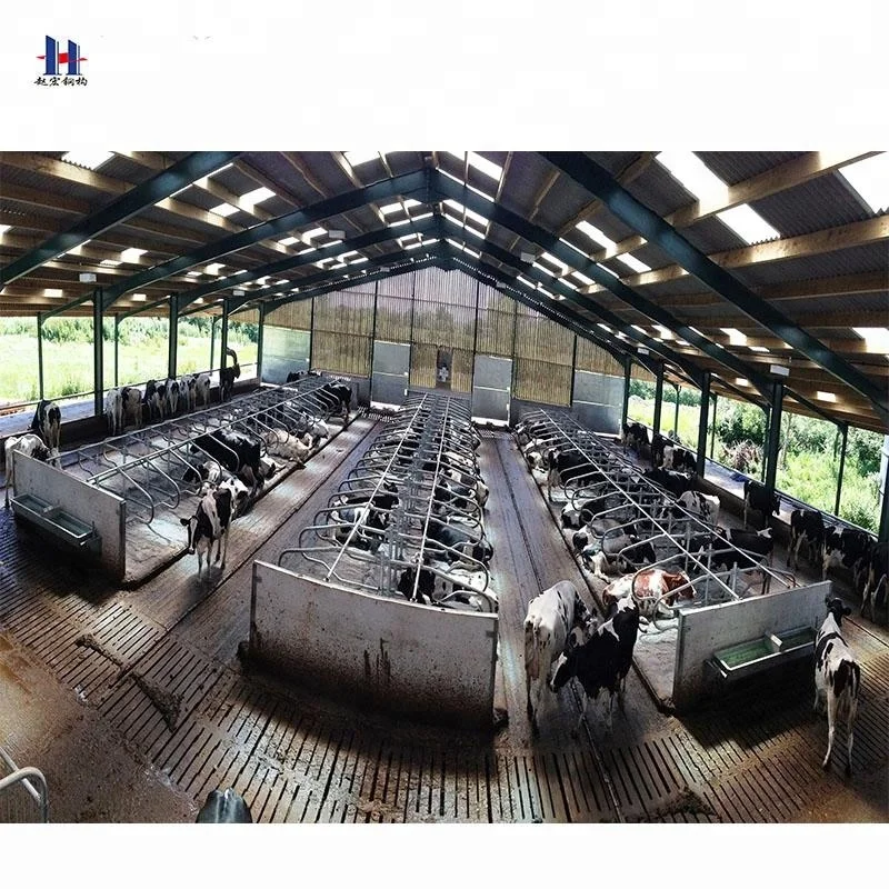 Prefabricated modern farm building cow house construction