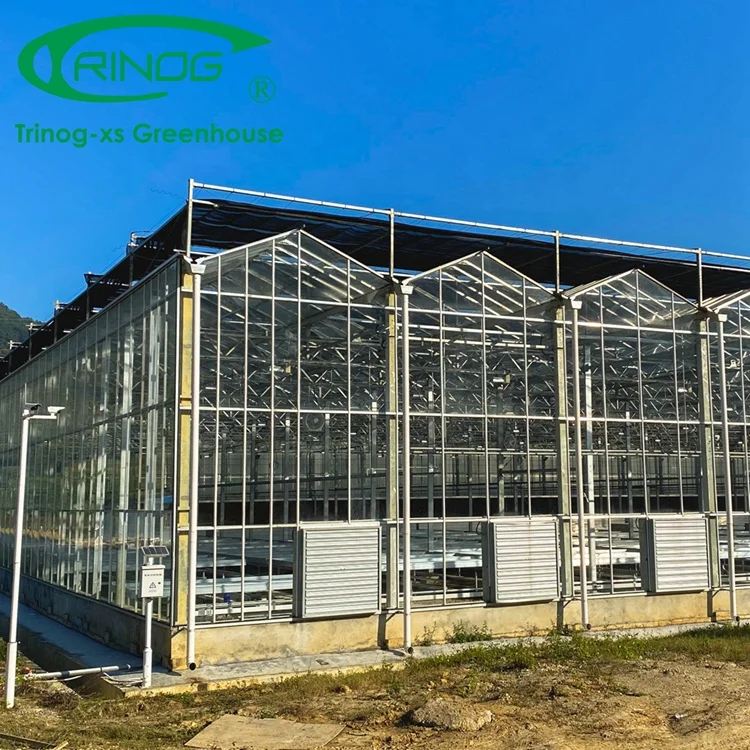 Trinog Greenhouse manufacture 5mm tempered glass greenhouse aluminum with steel pipe structure