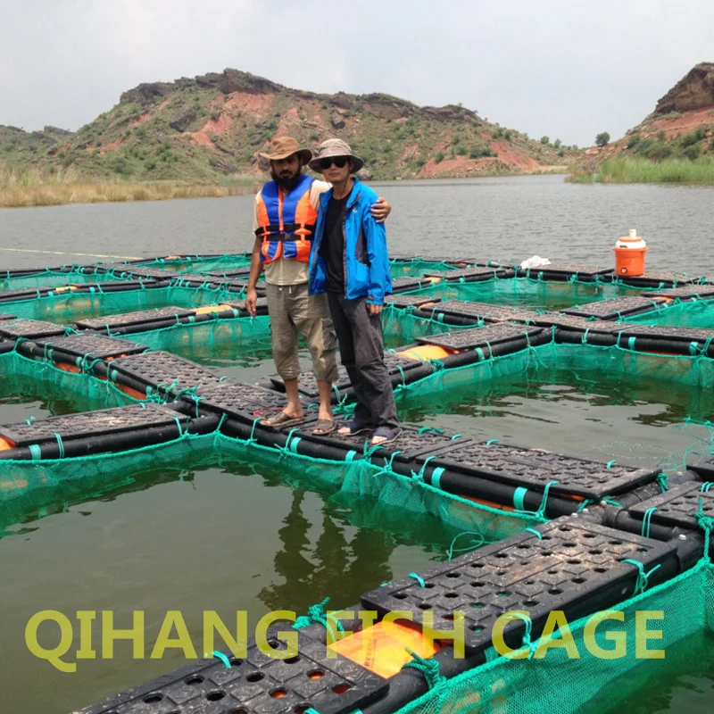 HDPE понтонные кубики Китай Горячая продажа Популярная клетка рыбоводство
