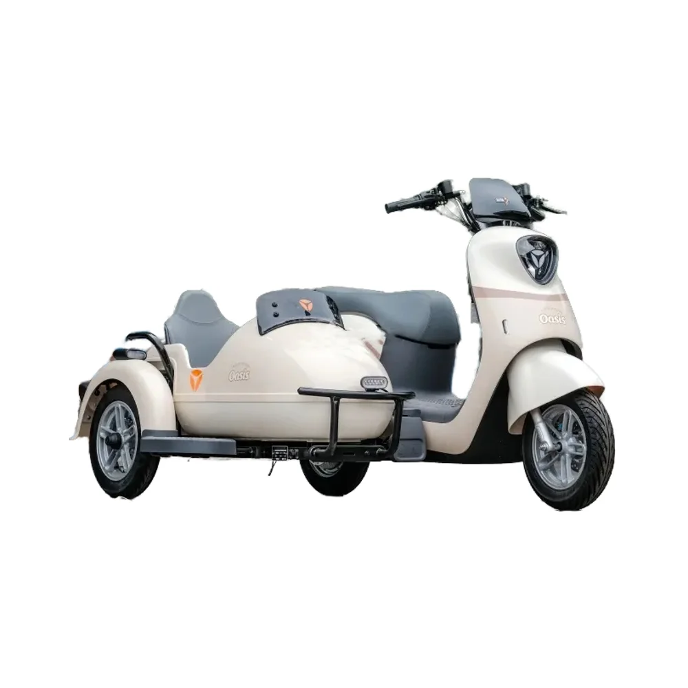 Yadea Electric Tricycle Hot Selling Tricycle Adult Tricycle 3 Wheel Electric Scooter 60V Eec E Bike 3 Wheel Gasoline R10 Open