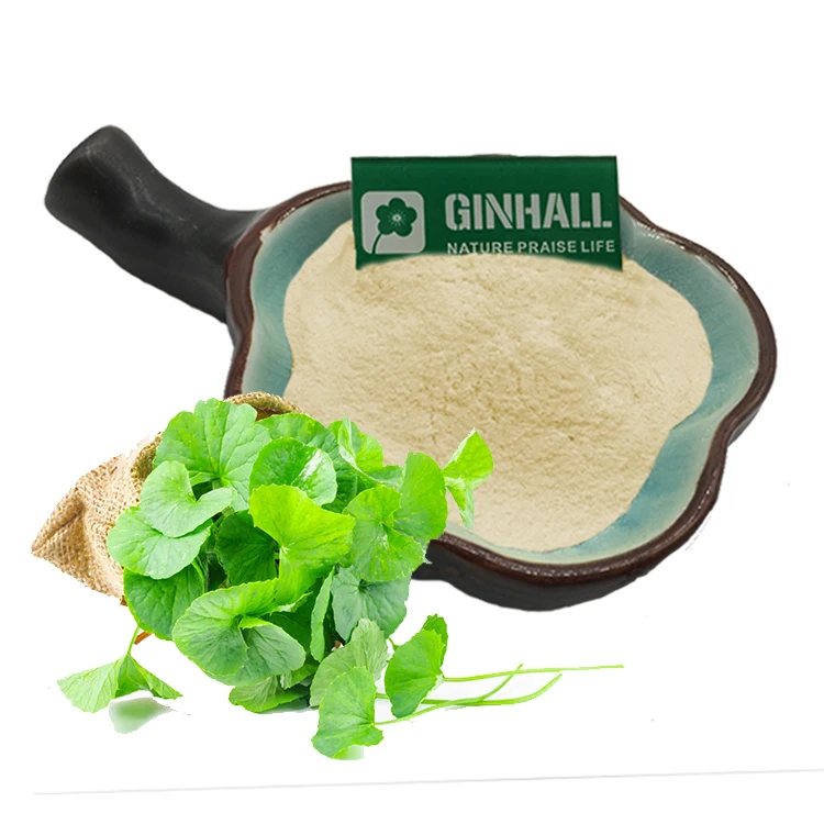 Bulk price hydrocotyle asiatica extract/centella asiatica extract /gotu Kola extract powder 90% asiatic acid