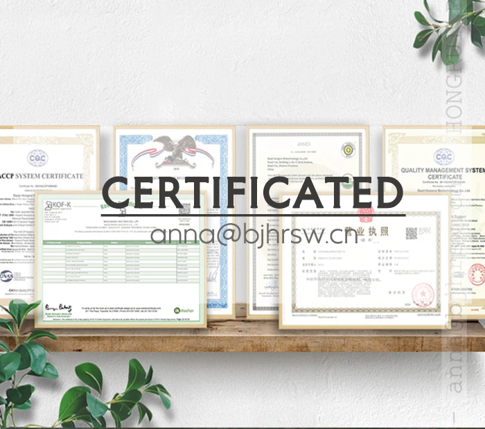 HONGRUI wholesale potato protein water soluble 70% 80% 90% potato protein powder