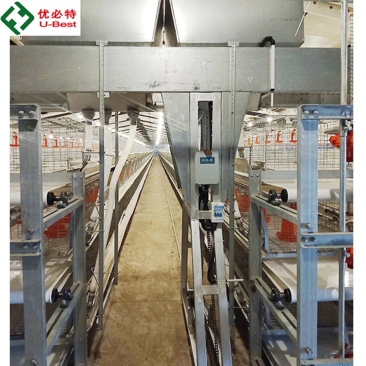 Nigeria  Automatic H/A Type Broiler Chicken Farming Equipment Poultry Broiler Cage