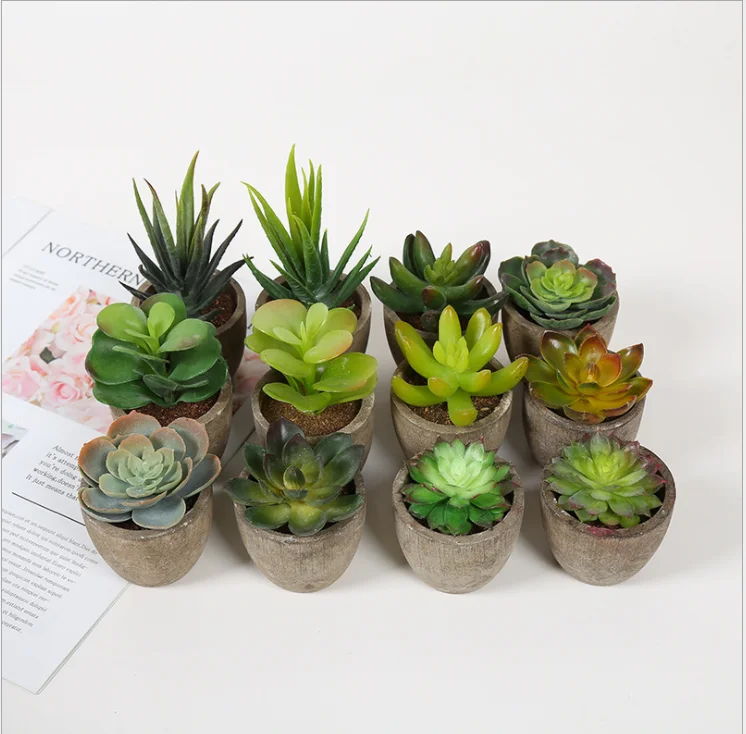 Комнатное украшение, искусственные растения-суккуленты, пластиковые горшечные суккуленты, бонсай для украшения дома и офиса