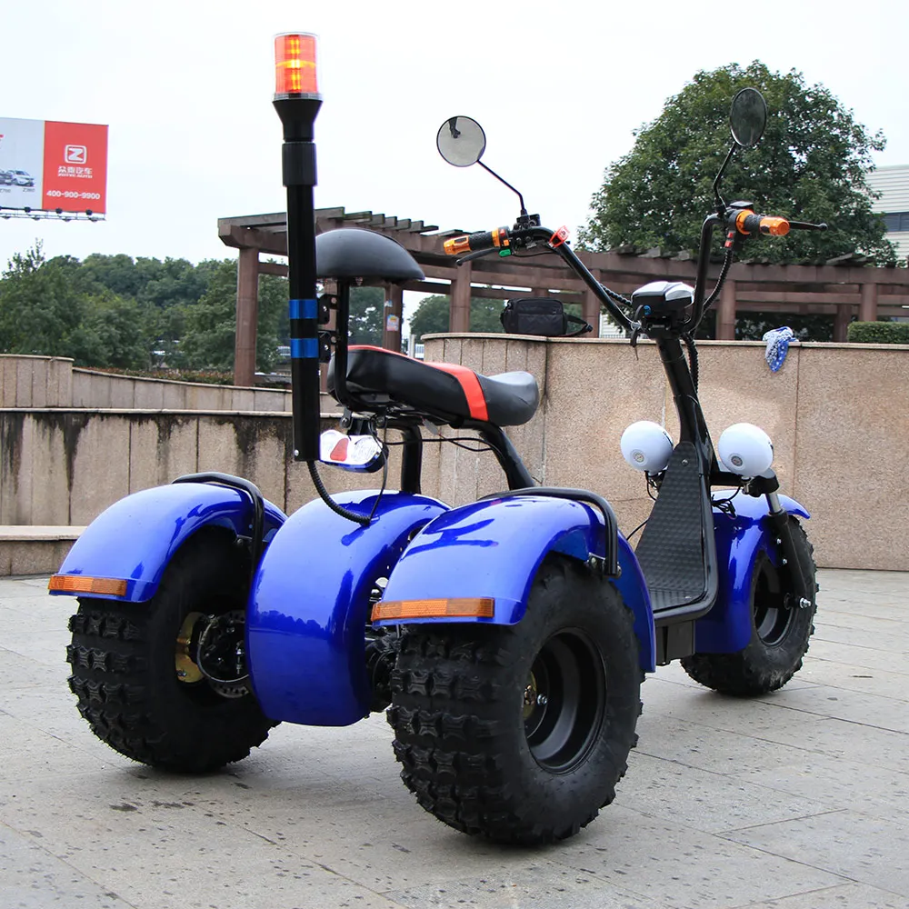 3 wheel trike CE citycoco electric electric scooter  for adult passenger and cargo carry  Electric tricycle