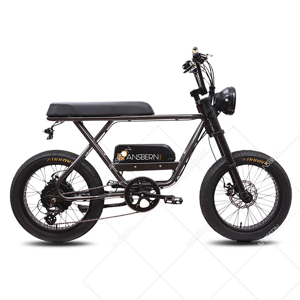 2023 Ansbern Bafang 36V/48V 250W/350W/500W/750W Battery Electric Snow Fat Tire Bike